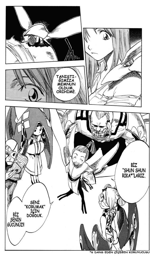 Read Bleach TR Manga Online