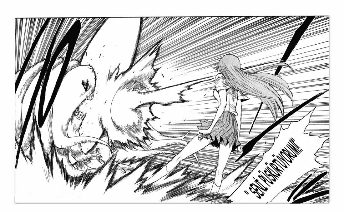 Read Bleach TR Manga Online