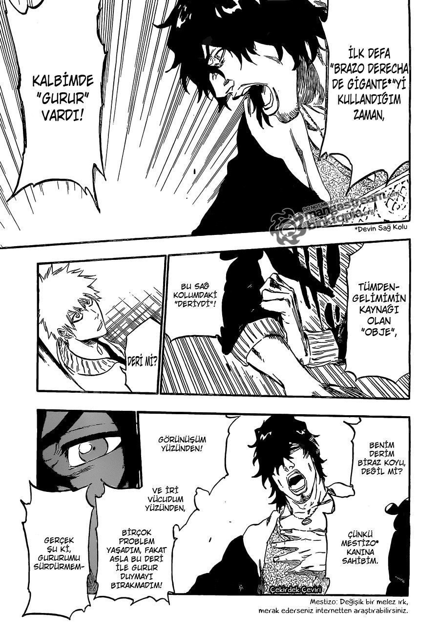 Read Bleach TR Manga Online