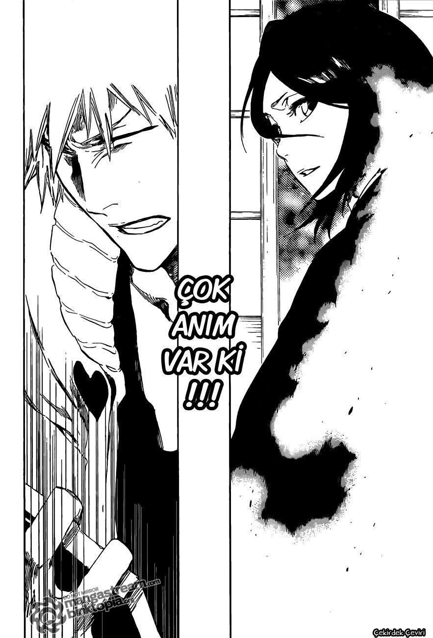 Read Bleach TR Manga Online
