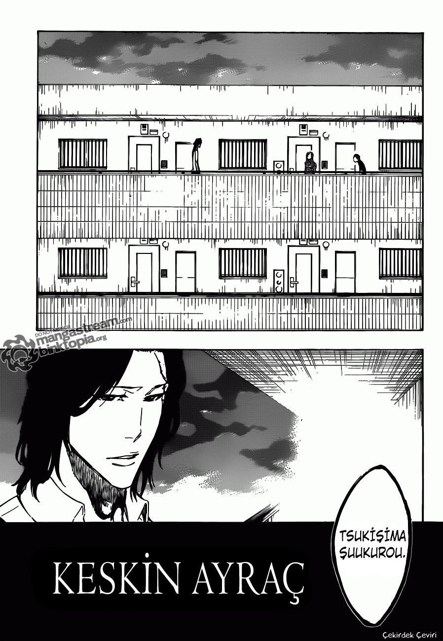 Read Bleach TR Manga Online