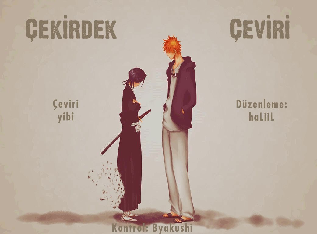Read Bleach TR Manga Online