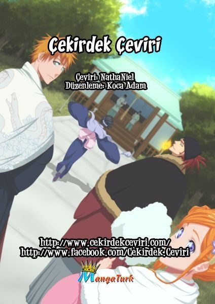 Read Bleach TR Manga Online
