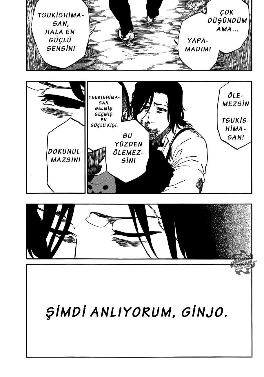 Read Bleach TR Manga Online