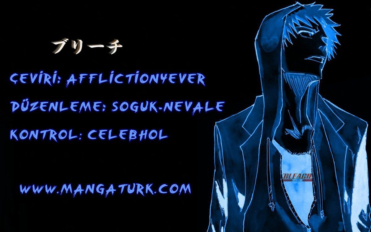 Read Bleach TR Manga Online