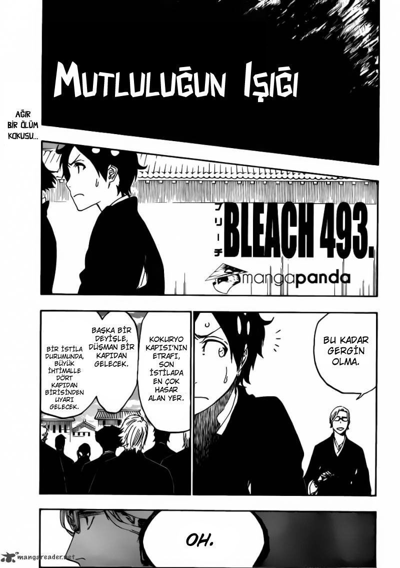 Read Bleach TR Manga Online