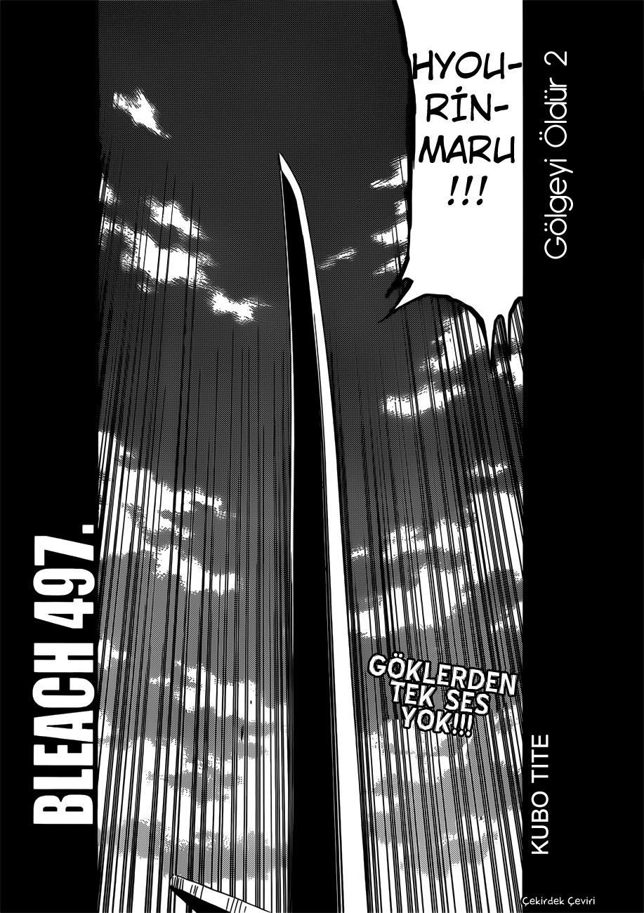 Read Bleach TR Manga Online