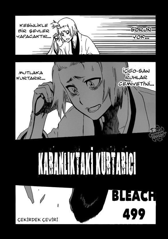 Read Bleach TR Manga Online