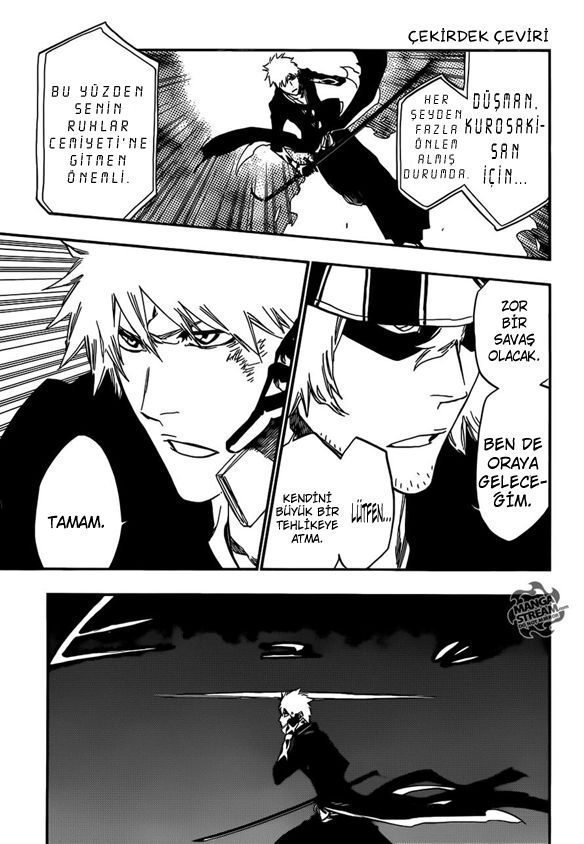 Read Bleach TR Manga Online