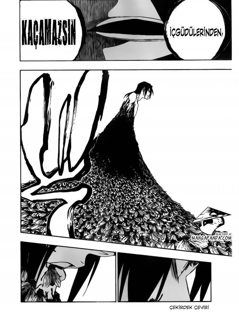 Read Bleach TR Manga Online