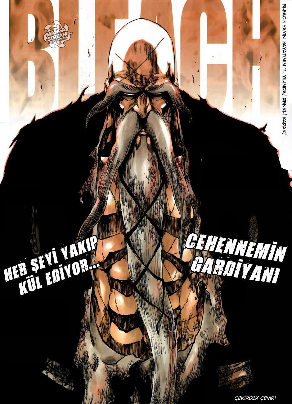 Read Bleach TR Manga Online