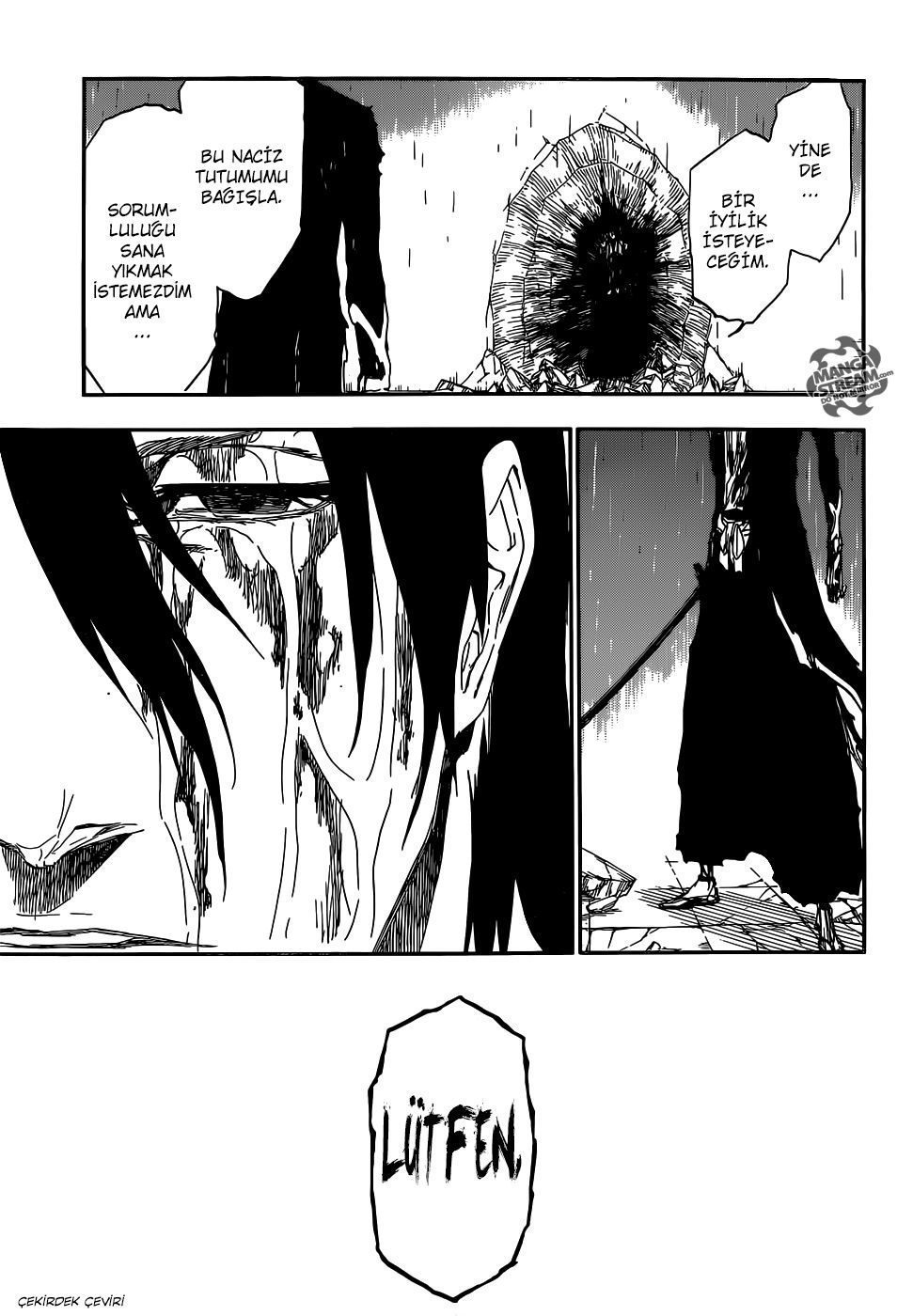 Read Bleach TR Manga Online
