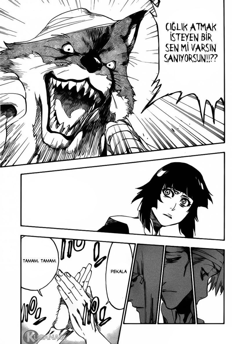 Read Bleach TR Manga Online
