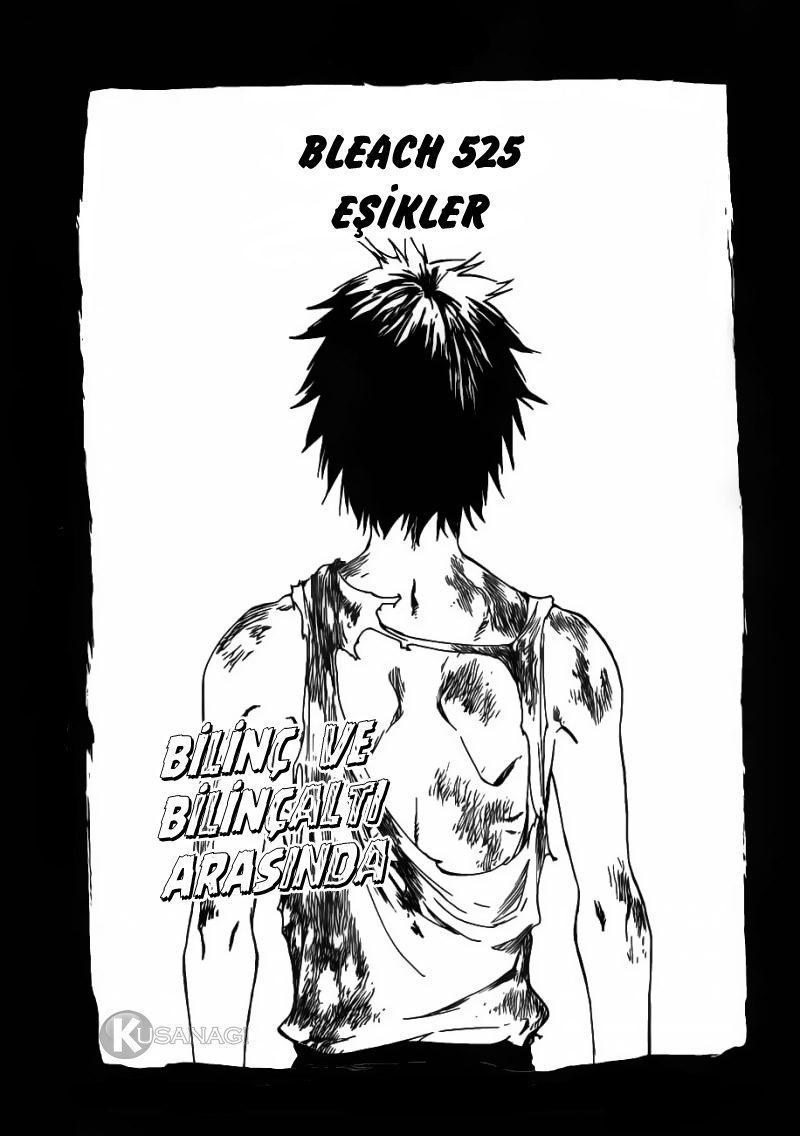 Read Bleach TR Manga Online