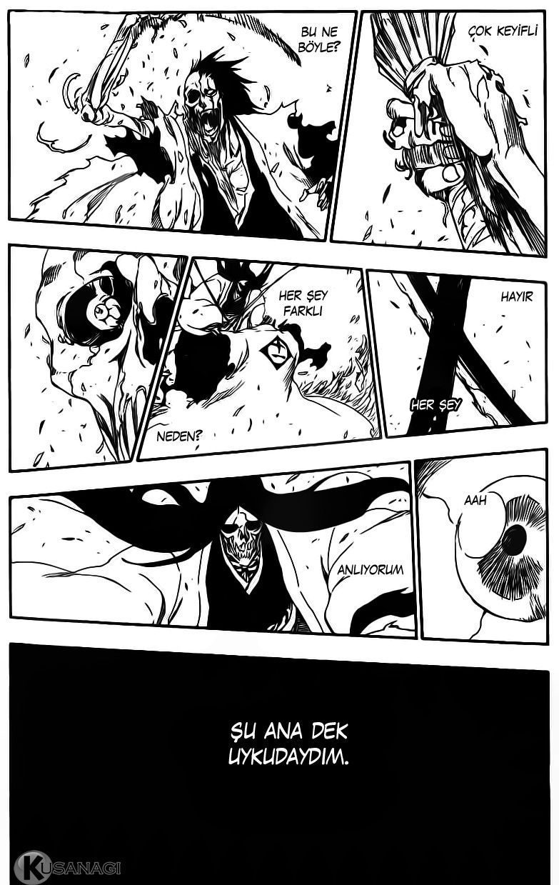 Read Bleach TR Manga Online