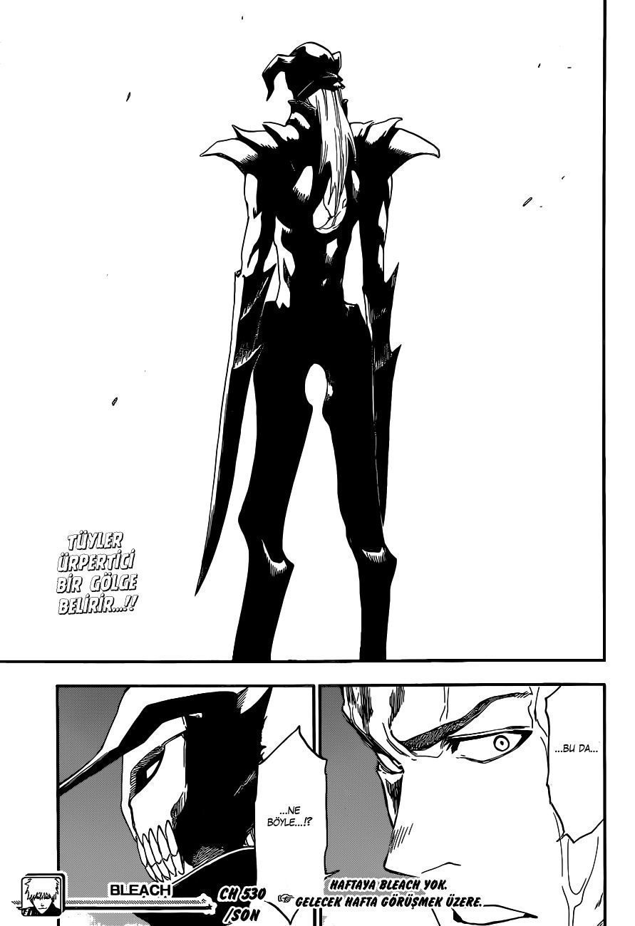 Read Bleach TR Manga Online