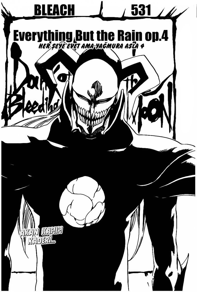 Read Bleach TR Manga Online