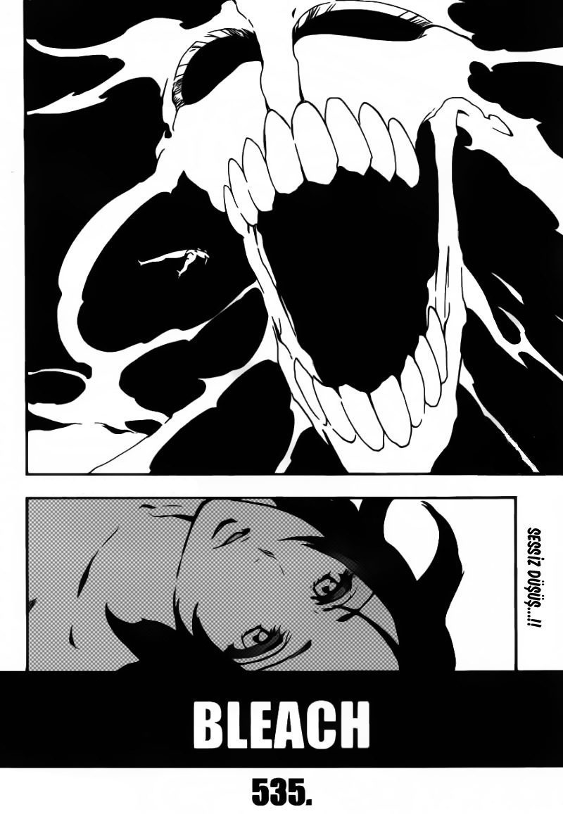 Read Bleach TR Manga Online