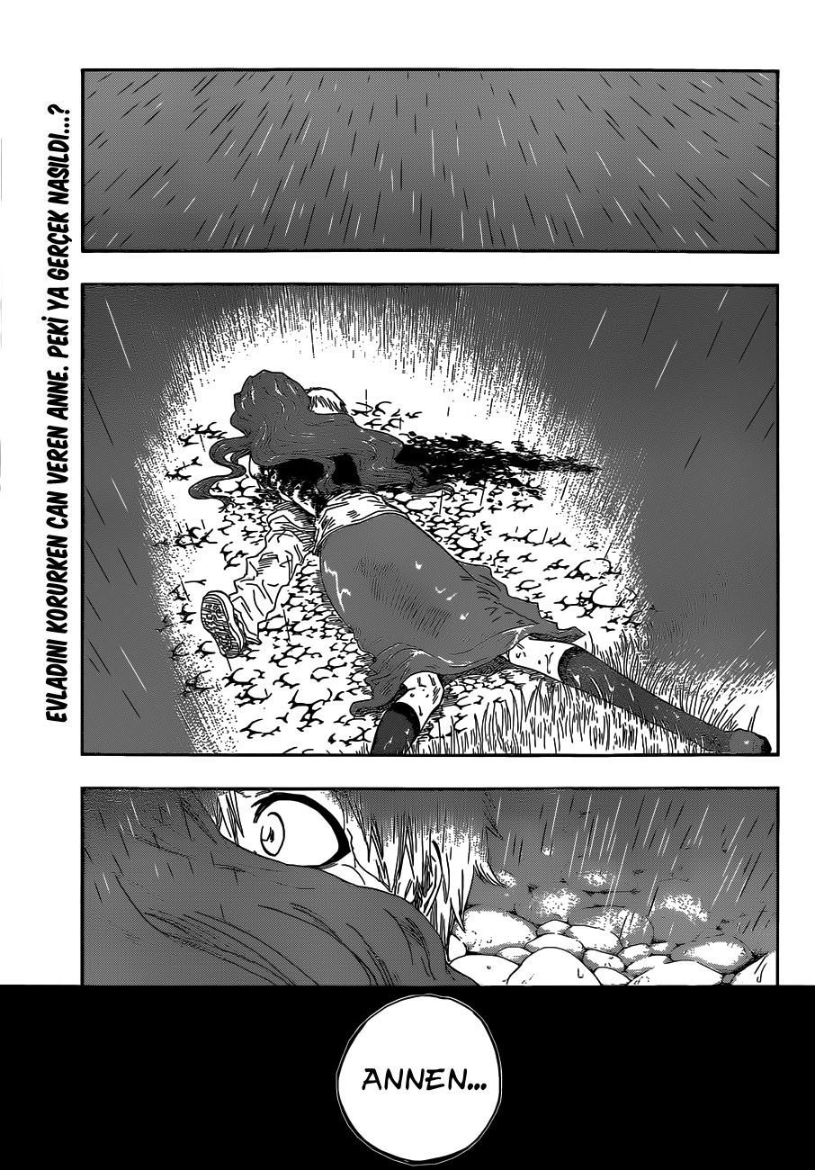 Read Bleach TR Manga Online