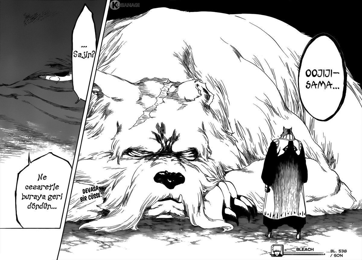 Read Bleach TR Manga Online