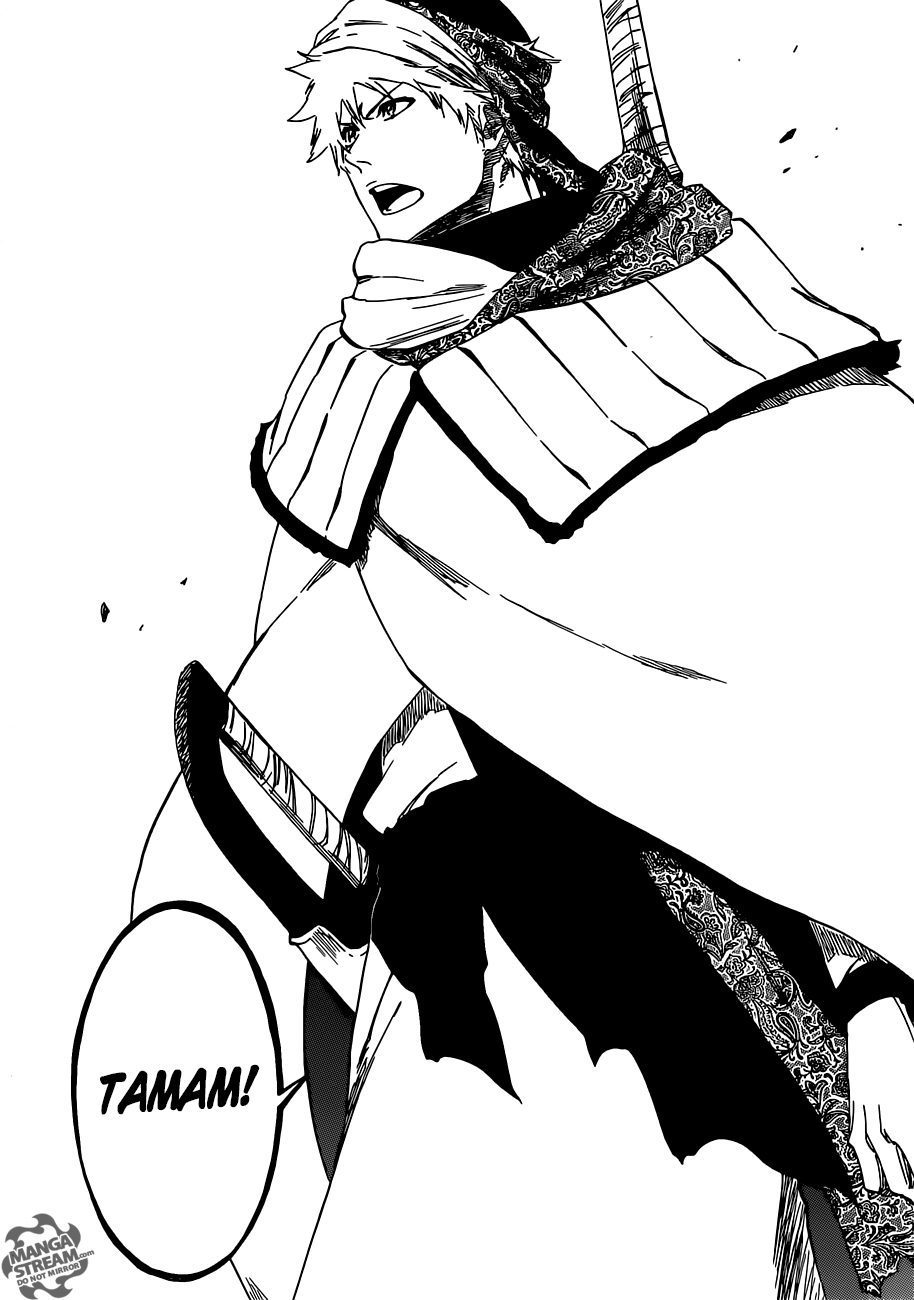 Read Bleach TR Manga Online