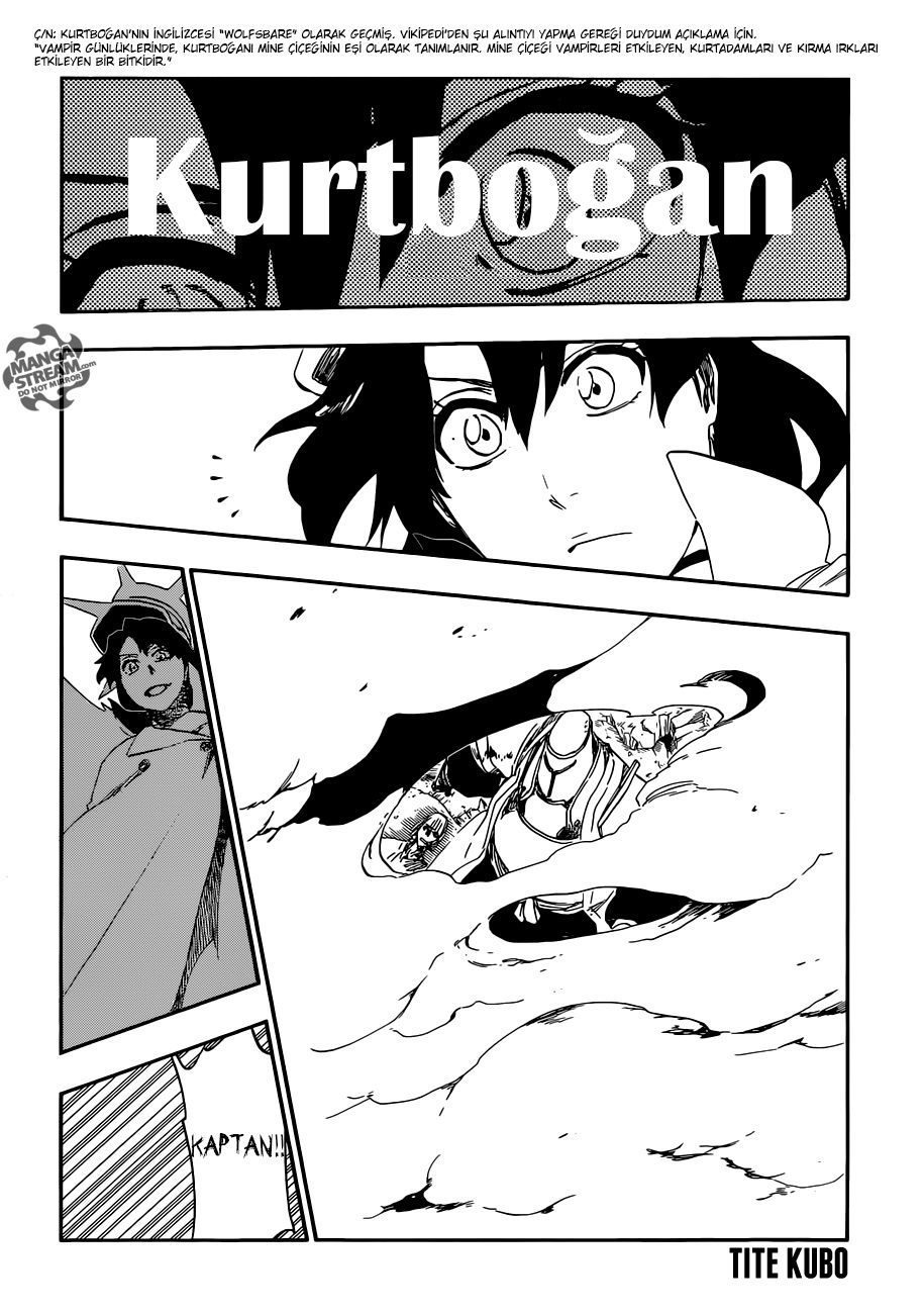 Read Bleach TR Manga Online