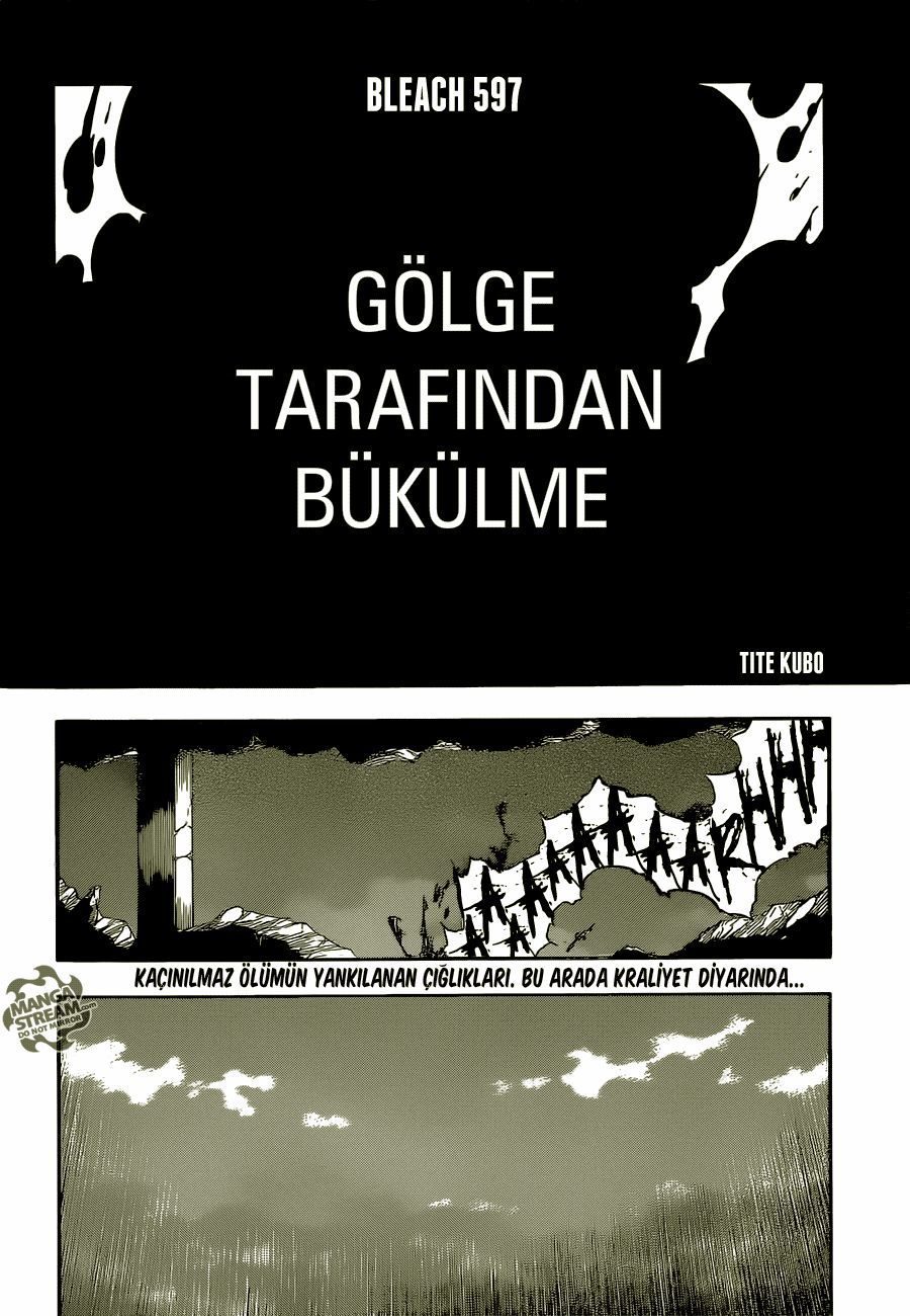 Read Bleach TR Manga Online