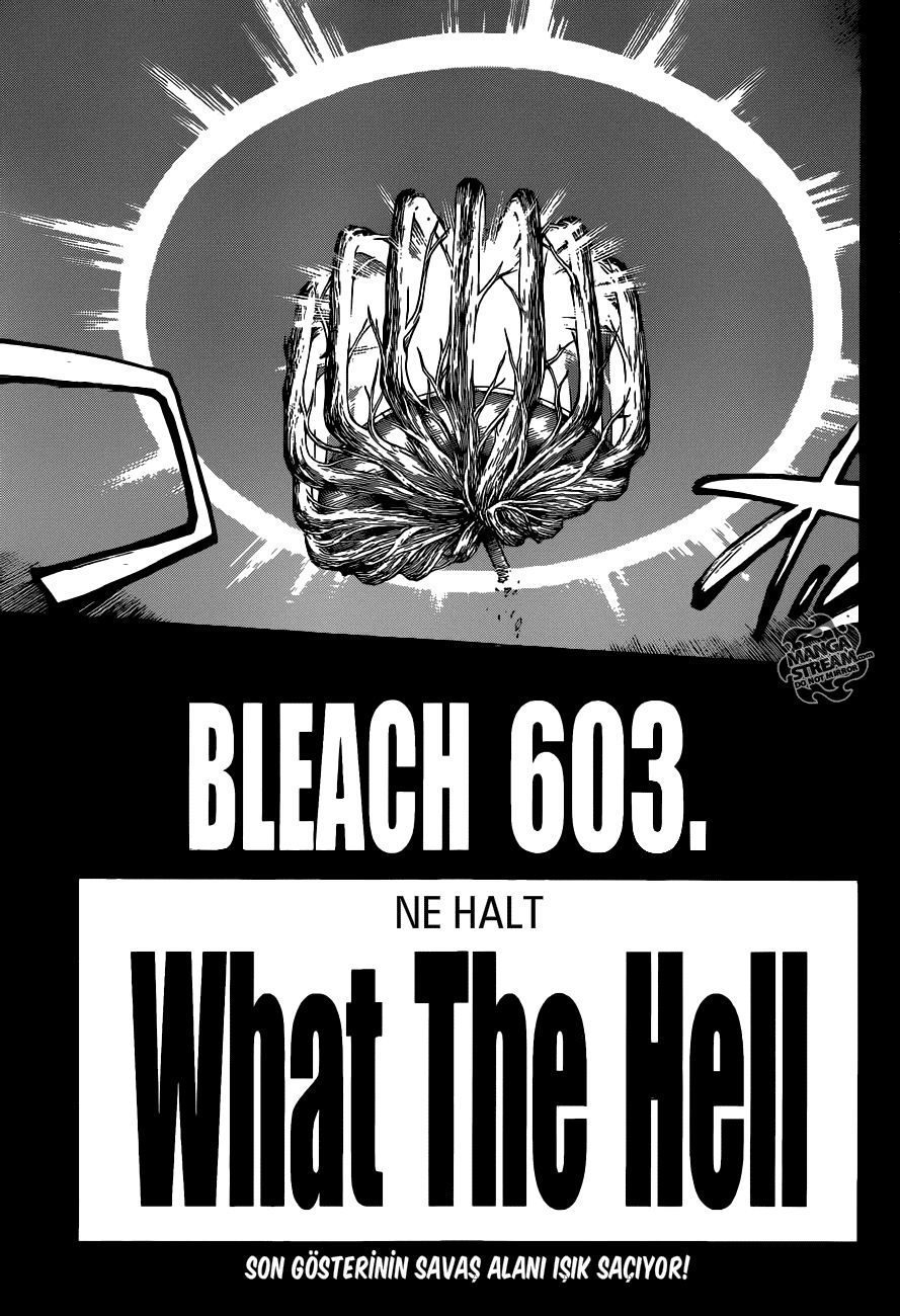 Read Bleach TR Manga Online