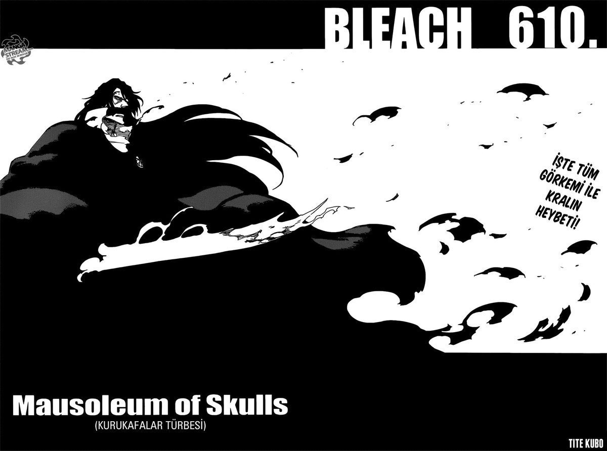 Read Bleach TR Manga Online
