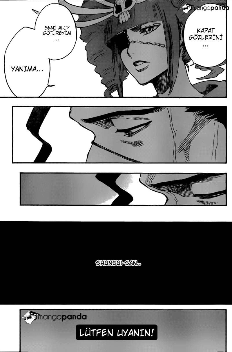 Read Bleach TR Manga Online