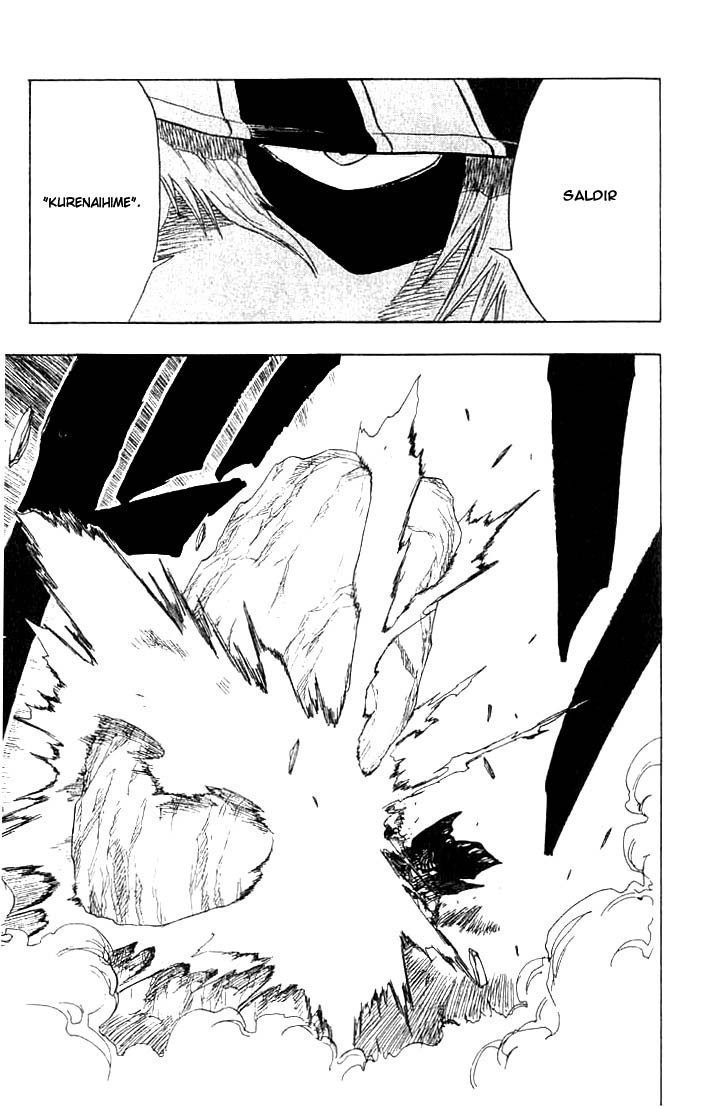 Read Bleach TR Manga Online