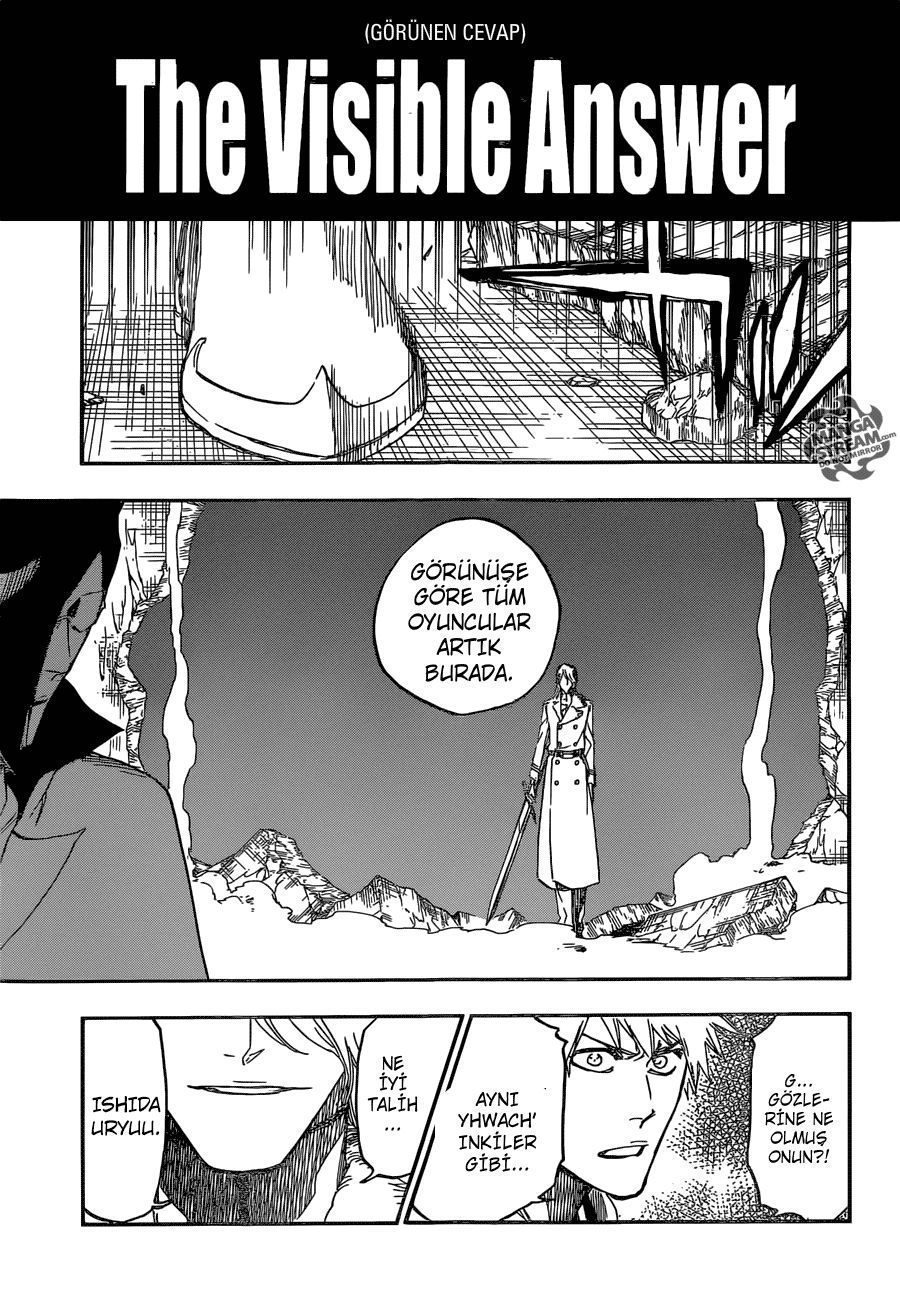 Read Bleach TR Manga Online