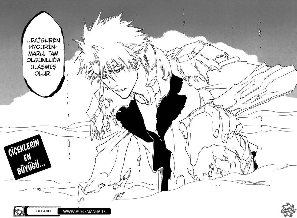 Read Bleach TR Manga Online