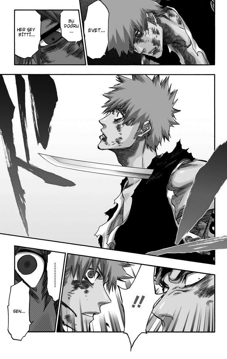 Read Bleach TR Manga Online
