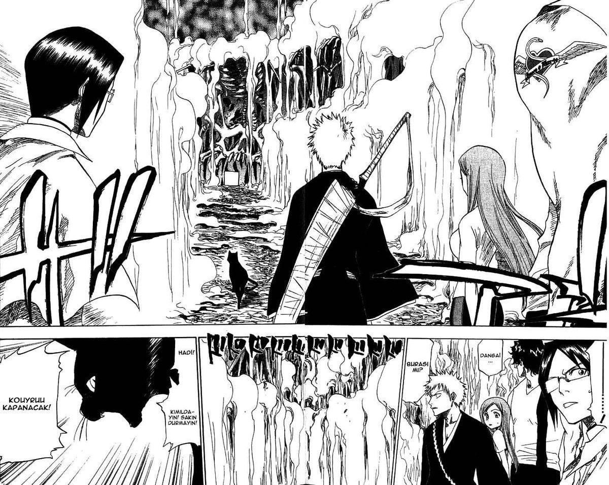 Read Bleach TR Manga Online