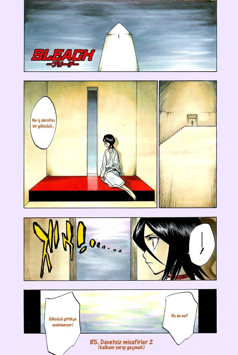 Read Bleach TR Manga Online