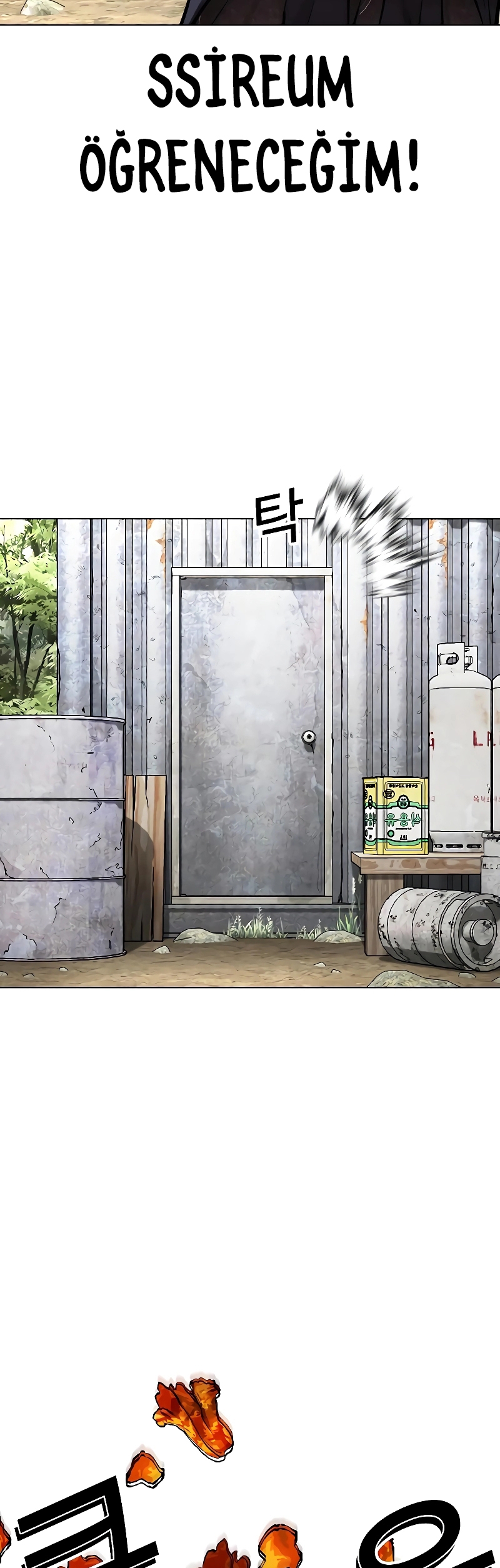 Read Görünüşçülük TR Manga Online