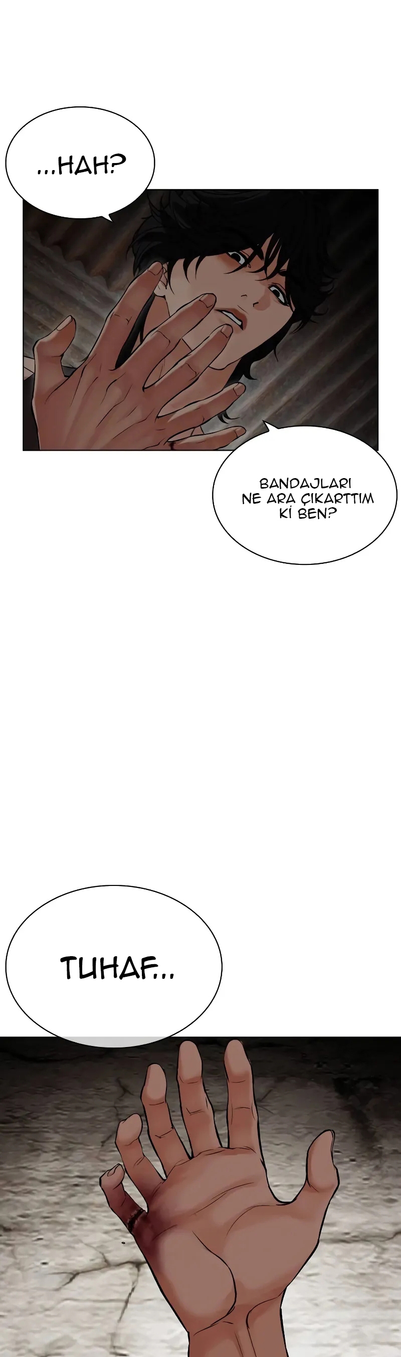 Read Görünüşçülük TR Manga Online