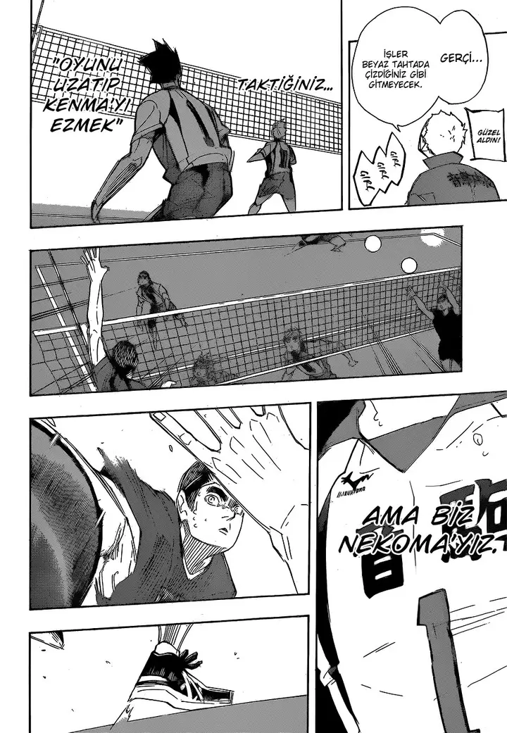 Read Haikyuu!! TR Manga Online
