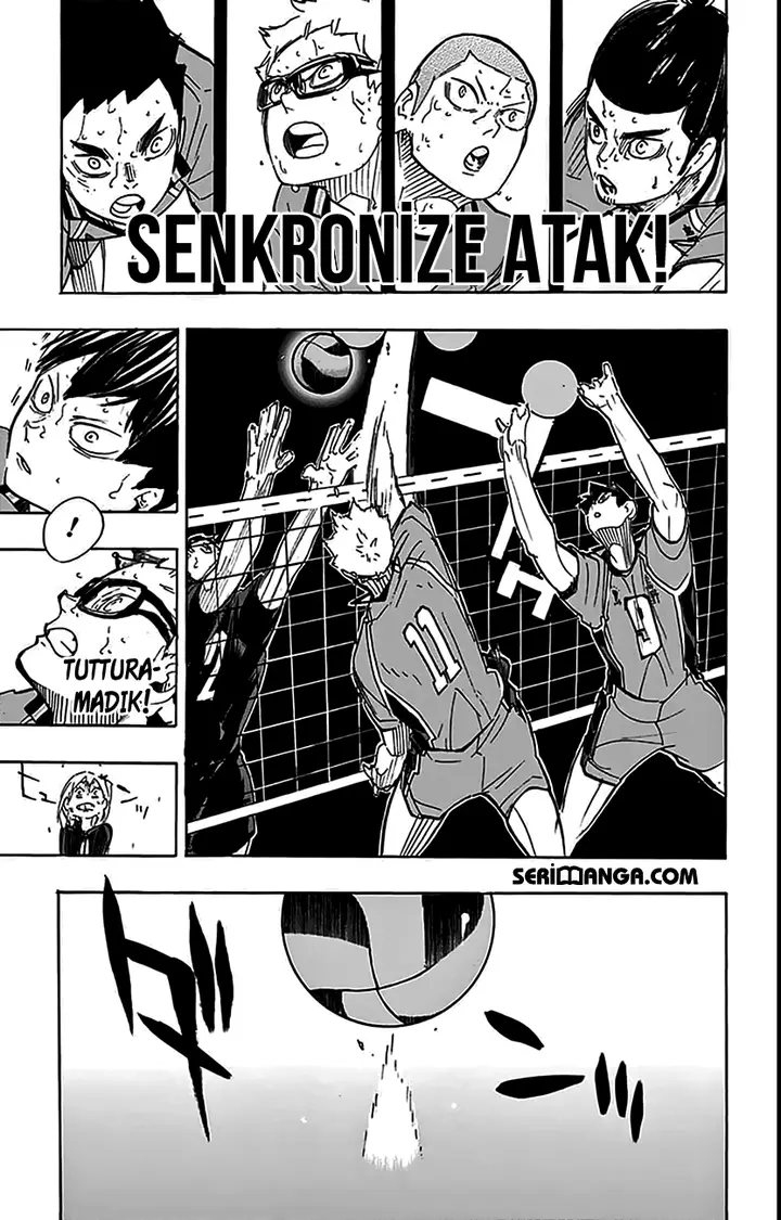 Read Haikyuu!! TR Manga Online