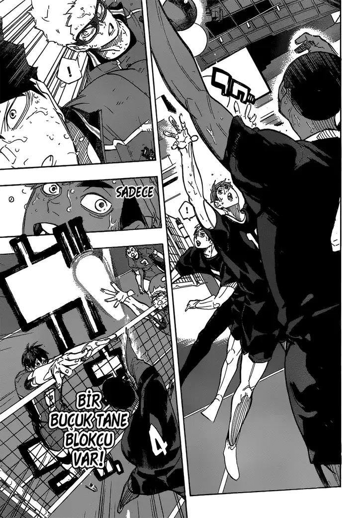 Read Haikyuu!! TR Manga Online