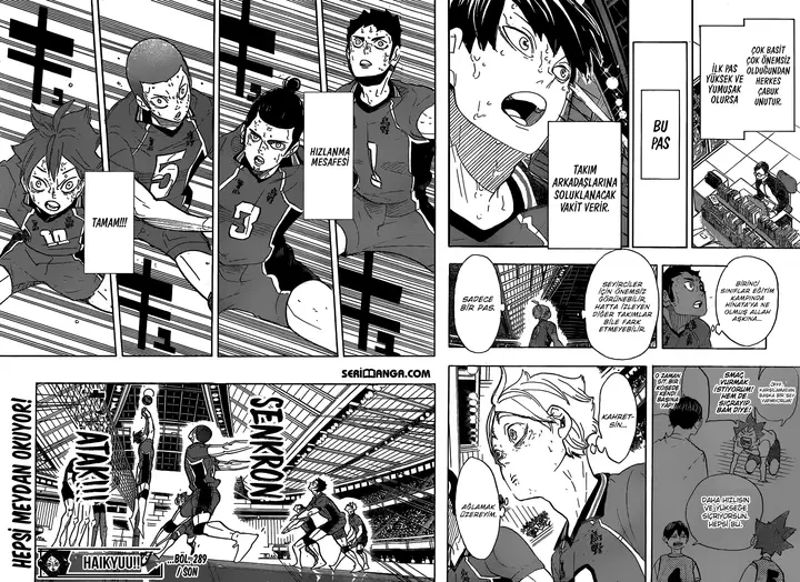 Read Haikyuu!! TR Manga Online