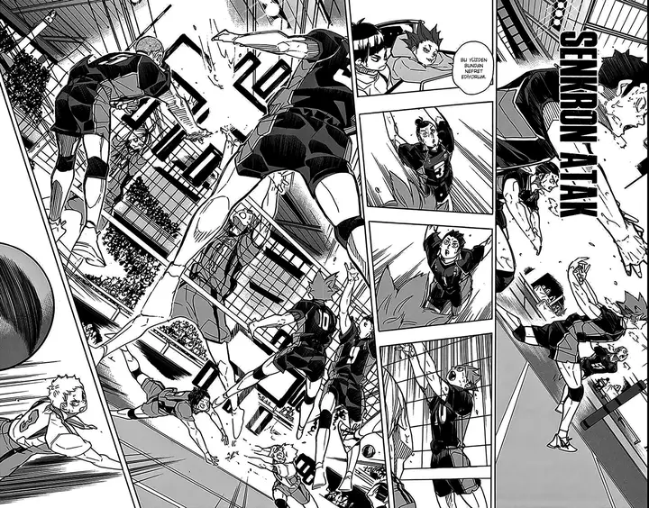 Read Haikyuu!! TR Manga Online
