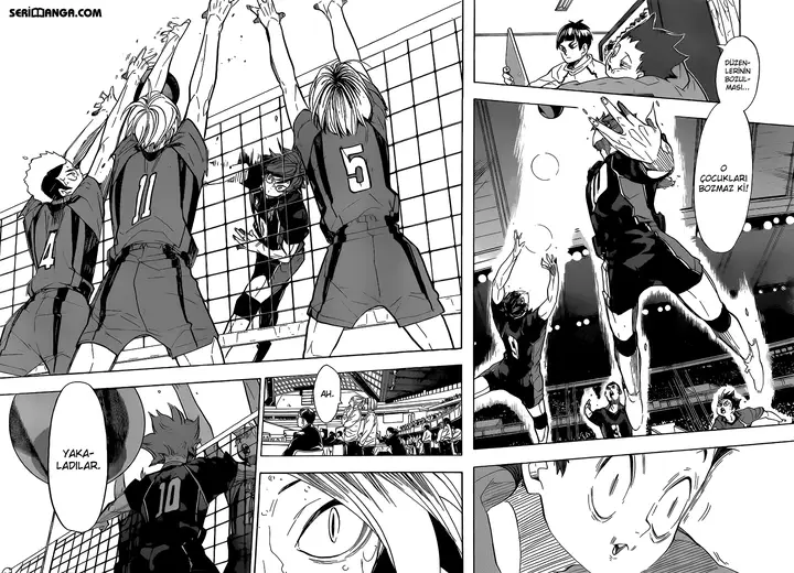 Read Haikyuu!! TR Manga Online