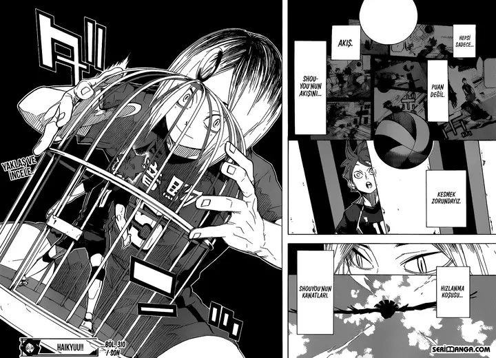 Read Haikyuu!! TR Manga Online