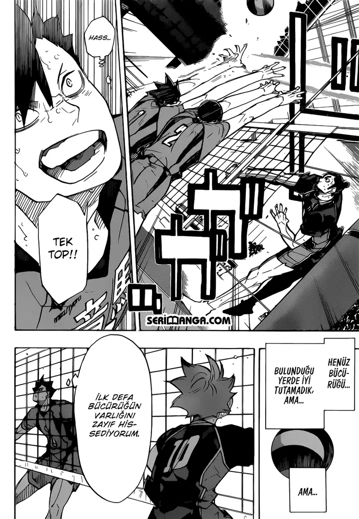 Read Haikyuu!! TR Manga Online