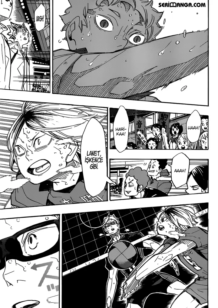 Read Haikyuu!! TR Manga Online
