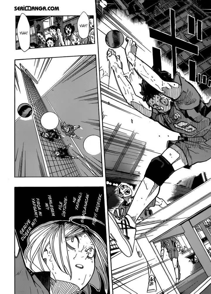 Read Haikyuu!! TR Manga Online