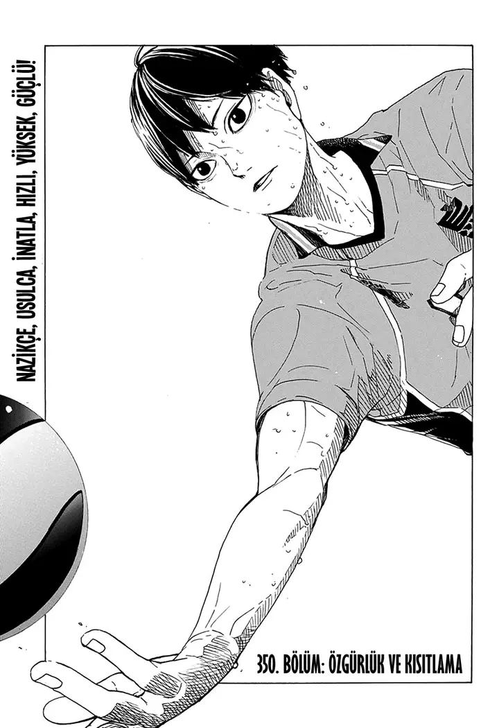 Read Haikyuu!! TR Manga Online