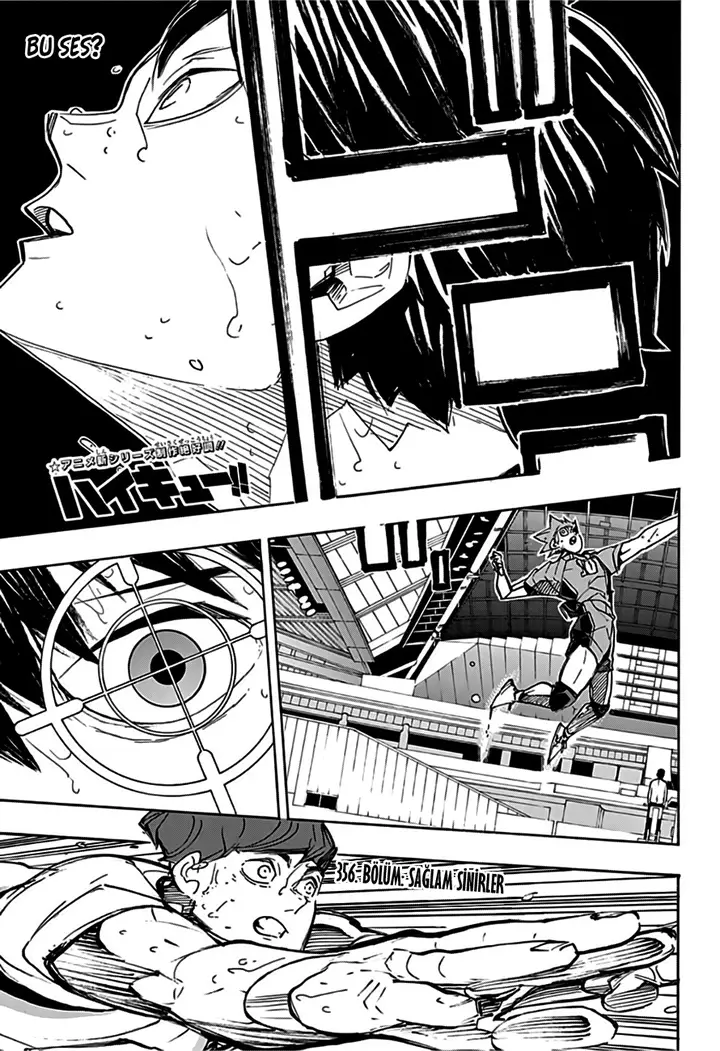 Read Haikyuu!! TR Manga Online